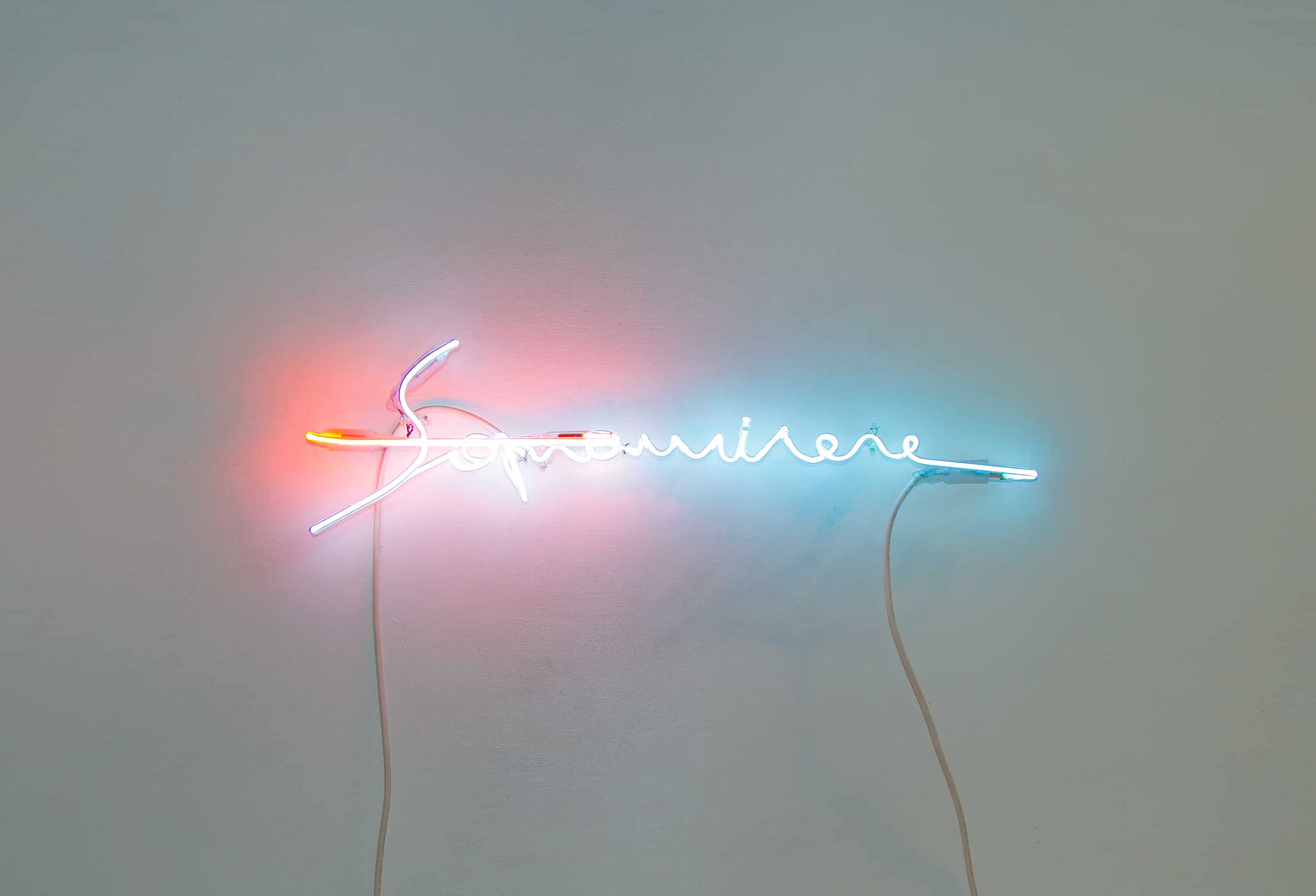 "Sopravvivere" – Filippo Centenari, immagine 3